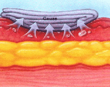 f5d1c790d194e57d7c3878dc19a305c.png